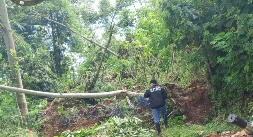 Longsor 20 Meter Tutup Jalur Vital Warga Ampelgading Malang