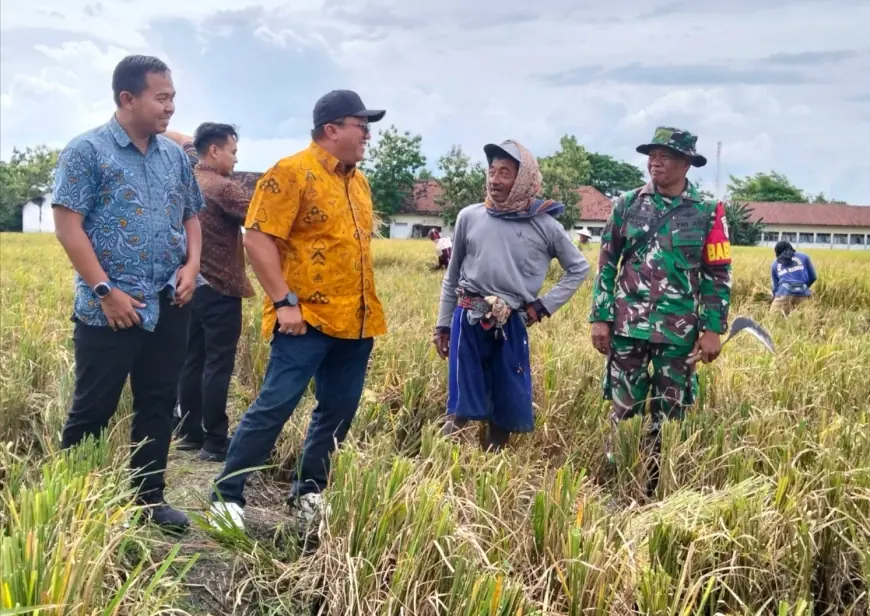 Bulog Jatim Targetkan Serapan Gabah Petani 883.000 Ton pada 2026