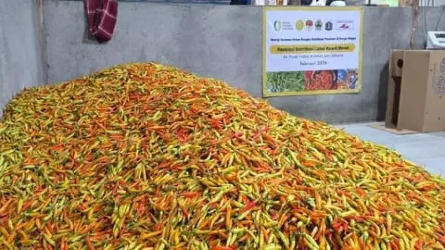 Harga Cabai di Surabaya Meroket