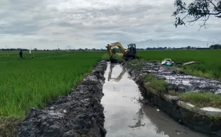 Dinas PUPR Jombang Normalisasi Saluran Pembuang Cangkring untuk Optimalisasi Irigasi