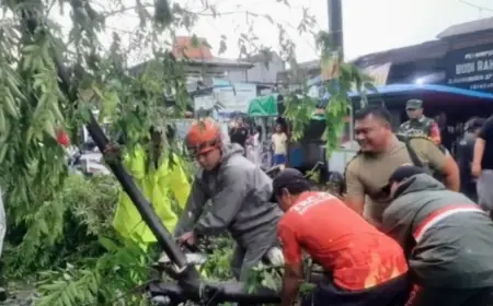Cuaca Ekstrem Awal Maret, DLH Surabaya Bagi Tim Penanganan Pohon Tumbang ke Tujuh Area