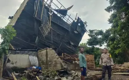 Angin Kencang Terjang Jember, 4 Sekolah Rusak dan 15 Gudang Tembakau Roboh