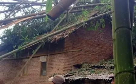 Rumpun Bambu Roboh Timpa Dua Rumah di Pujon Malang