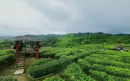 Libur Lebaran 2026, Gunung Gambir Jember Suguhkan Panorama Hijau yang Menenangkan