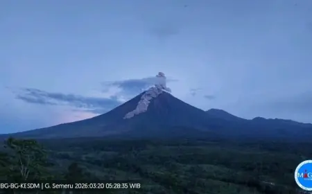 Status Siaga! Gunung Semeru Muntahkan Kolom Abu Setinggi 1.000 Meter