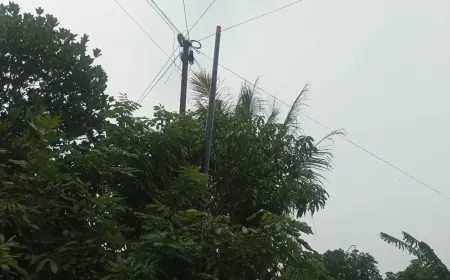 Warga Pertanyakan Pemasangan Puluhan Tiang Provider MyRepublic di Area Desa Tanpa Izin Jelas