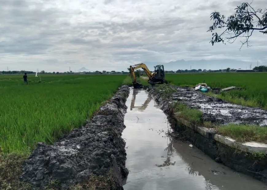 Dinas PUPR Jombang Normalisasi Saluran Pembuang Cangkring untuk Optimalisasi Irigasi