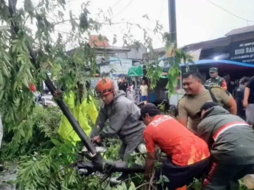 Cuaca Ekstrem Awal Maret, DLH Surabaya Bagi Tim Penanganan Pohon Tumbang ke Tujuh Area