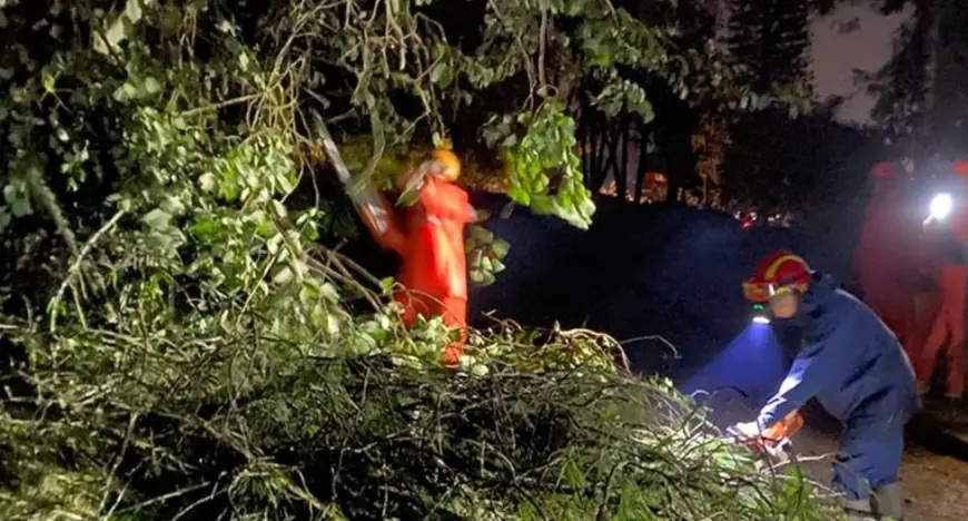 Angin Kencang Terjang Kota Batu, Puluhan Pohon Tumbang dan Sejumlah Fasilitas Rusak
