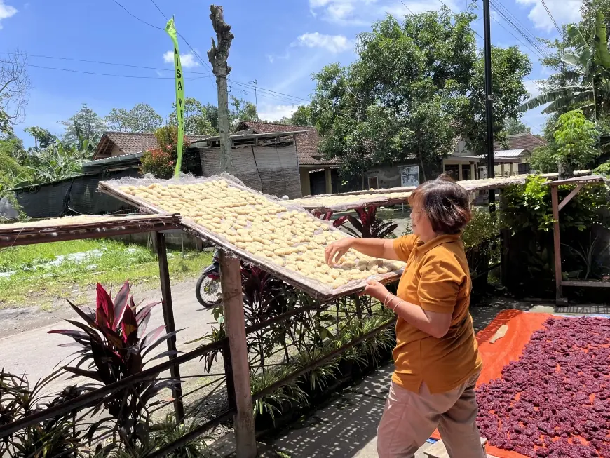 Cuaca Tak Menentu, Produsen Rengginang di Blitar Putar Otak Penuhi Lonjakan Pesanan Lebaran