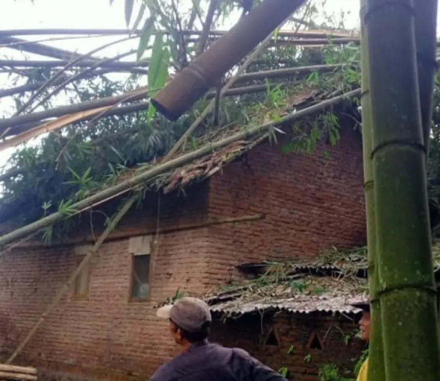 Rumpun Bambu Roboh Timpa Dua Rumah di Pujon Malang