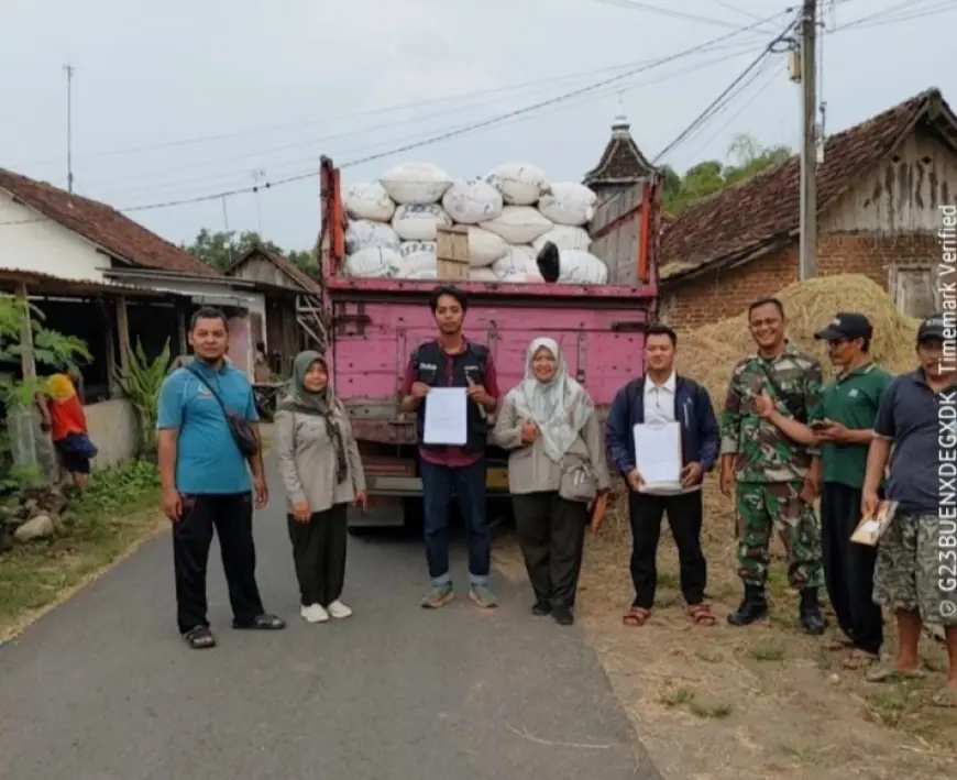 Perkuat Cadangan Pangan, Bulog Kediri Serap 70.000 Ton Gabah Petani