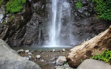 Wisata Air Terjun Tancak Jember, Trekking Mudah dengan Panorama Alam Asri