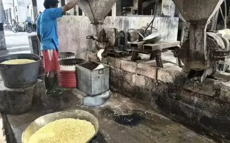 Harga Kedelai Impor Naik, Margin Perajin Tahu Blitar Kian Menipis