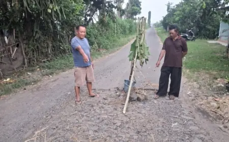 Jalan Berlubang di Ngronggot Nganjuk Ditanami Pisang, Warga Kesal Tak Ada Perbaikan