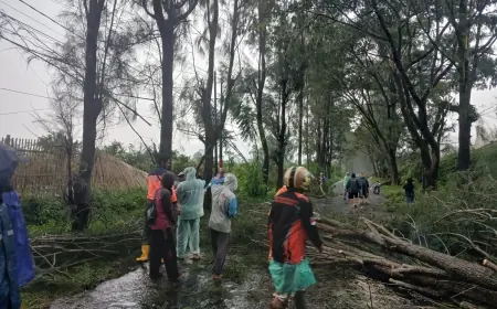 Angin Kencang dan Pohon Tumbang Sapu Malang, Sejumlah Rumah Rusak dan Jalan Sempat Tertutup