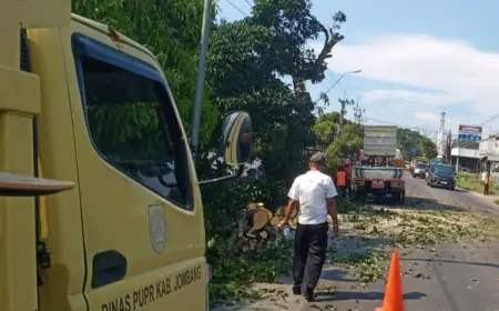 Mitigasi Cuaca Ekstrem di Jombang, Dinas PUPR Sisir Jalur Rawan Pohon Tumbang