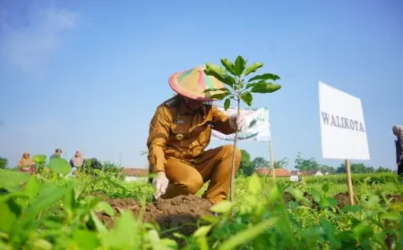 Hidupkan Kembali Ikon Kota, Wali Kota Probolinggo Tanam Mangga dan Anggur di Jrebeng Lor