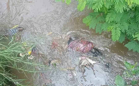 Lansia Ditemukan Mengapung di Kali Putih Kota Batu, Diduga Karena Faktor Kesehatan