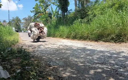 Jalur Alternatif Jetis–Pancoran Rusak, Dinas BSBK Bondowoso Siapkan Penanganan Tambal Sulam