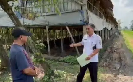 Sebabkan Serbuan Lalat, Pemilik Kandang Ayam di Jombang Disemprot DLH