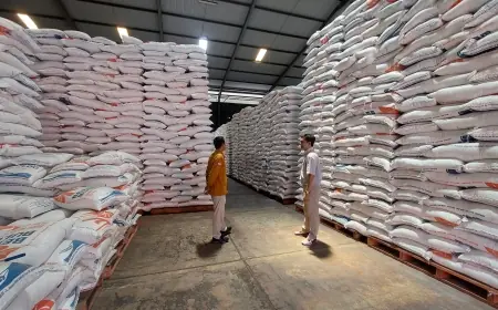Stok Beras Bulog Tembus 5 Juta Ton, Serapan Gabah Probolinggo Capai 120 Ribu Ton