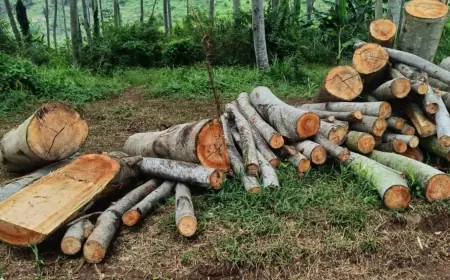 Polsek Wonosalam Terima Laporan Dugaan Perusakan Hutan Lindung di Kawasan KPH Jombang