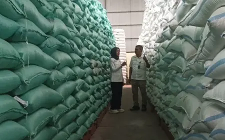 Stok Beras Jatim Capai 1,3 Juta Ton, Tertinggi Sepanjang Sejarah