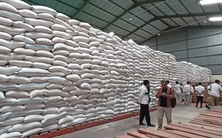 Bulog Pastikan Stok Beras Aman di Tengah Ancaman “Godzilla El Nino” 2026