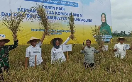 Panen Raya Dongkrak Stok Pangan, Anggia Ermarini Apresiasi Produksi Padi di Tulungagung