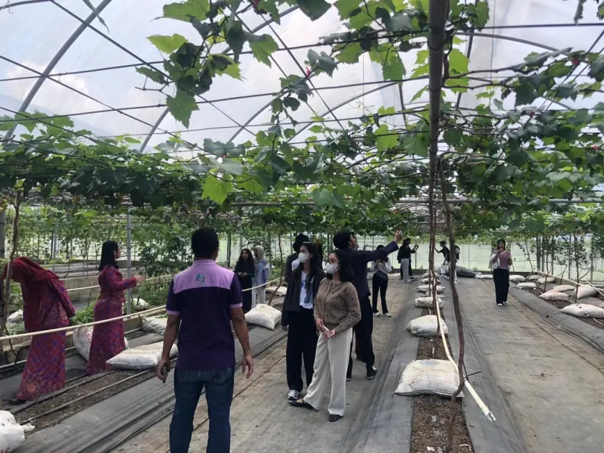 Mahasiswa Pariwisata UM Kaji Konsep Agroedutourism di Destinasi Petik Anggur Kota Malang