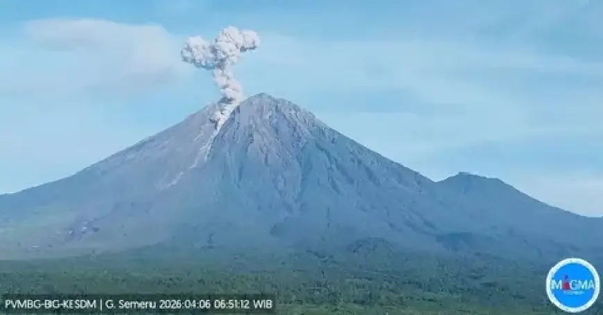 Gunung Semeru Kembali Erupsi, Lontarkan Abu Setinggi 1,1 Km Senin Pagi