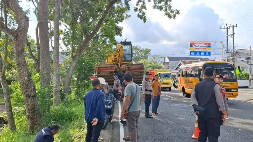 Alat Berat Tersangkut Kabel PLN di Tulungagung, 500 Pelanggan Terdampak Pemadaman