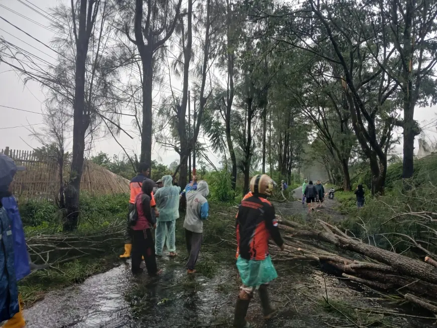 Angin Kencang dan Pohon Tumbang Sapu Malang, Sejumlah Rumah Rusak dan Jalan Sempat Tertutup