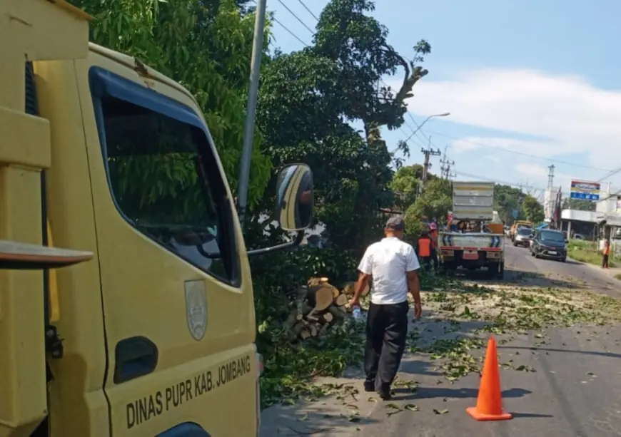 Mitigasi Cuaca Ekstrem di Jombang, Dinas PUPR Sisir Jalur Rawan Pohon Tumbang