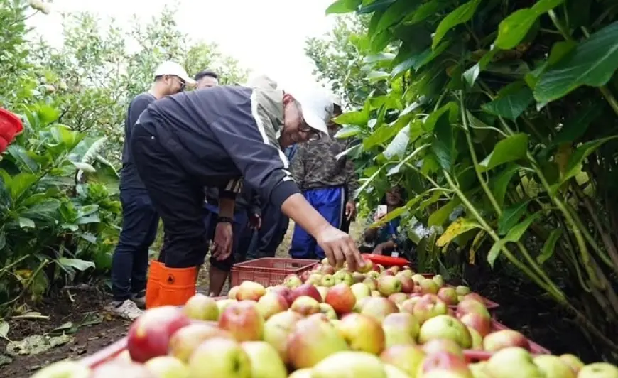 Skema Ekonomi Dulu, Ekologi Menyusul: Strategi Pemkot Batu Selamatkan Hutan Penyangga