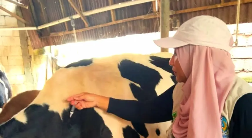 Waspada Zoonosis, Pemkot Batu Perkuat Pertahanan Pangan dari Kesehatan Ternak
