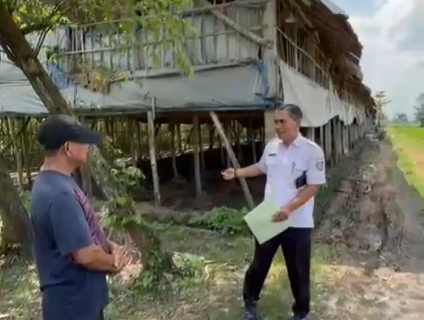Sebabkan Serbuan Lalat, Pemilik Kandang Ayam di Jombang Disemprot DLH