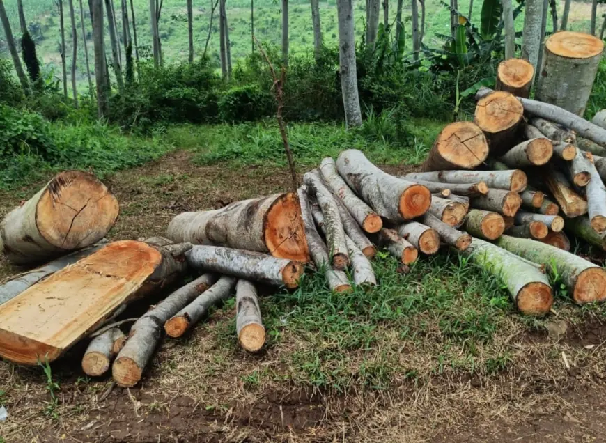Polsek Wonosalam Terima Laporan Dugaan Perusakan Hutan Lindung di Kawasan KPH Jombang