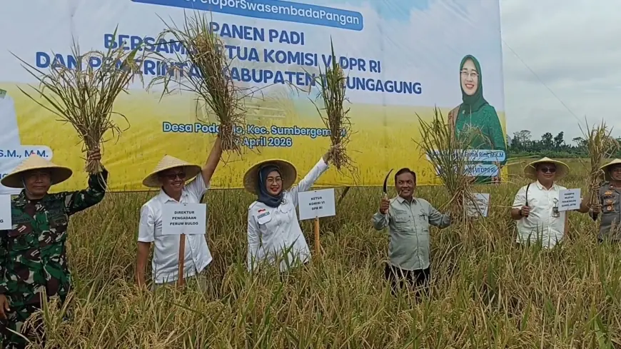 Panen Raya Dongkrak Stok Pangan, Anggia Ermarini Apresiasi Produksi Padi di Tulungagung