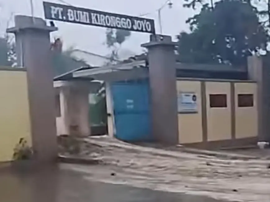 Dugaan Meluapnya Limbah Peternakan PT Bumi Kironggo Joyo Bondowoso, Kades Rejoagung Jelaskan Fakta Sebenarnya