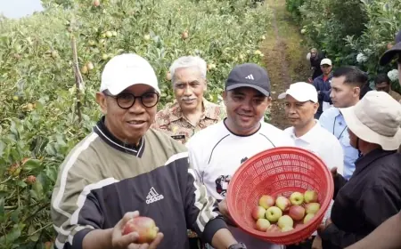 Apel Batu Bertahan di Titik Kritis