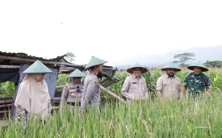 Batu Perketat LP2B, Selamatkan Hulu dan Sisa Lahan Produktif