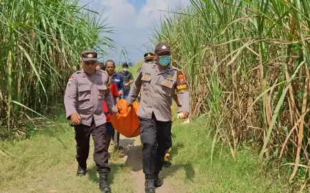 Lima Hari Hilang, Lansia di Tulungagung Ditemukan Tewas Membusuk di Kebun Tebu