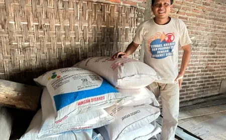 Stok Pupuk Subsidi di Dander Bojonegoro Diklaim Aman, Distribusi Disebut Lampaui Target