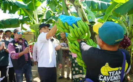 Wali Kota Aminuddin Dorong  Pisang Cavendish Jadi Ikon Baru Kota Probolinggo