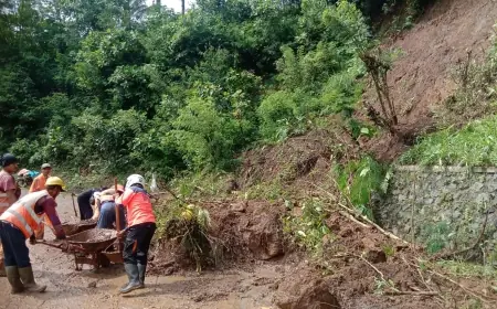 Sempat Menutup Jalur Malang-Lumajang, Longsor di Ampelgading Berhasil Ditangani