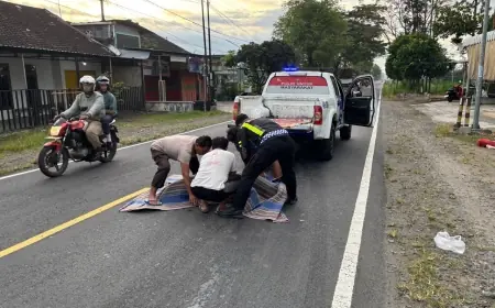 Pengendara Beat Tewas Tertabrak Brio di Blitar