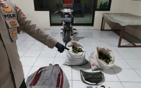 Motor Tanpa Nopol Jadi Petunjuk Terbongkarnya Pencurian Jeruk di Turen Malang
