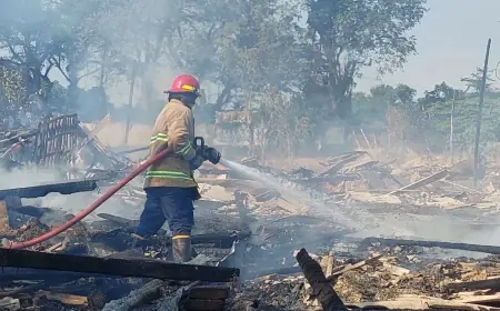 Peternakan Ayam di Dringu Probolinggo Terbakar, Pemilik Rugi Rp300 Juta